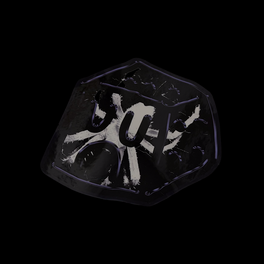 SPYDER DICE BOY STICKER